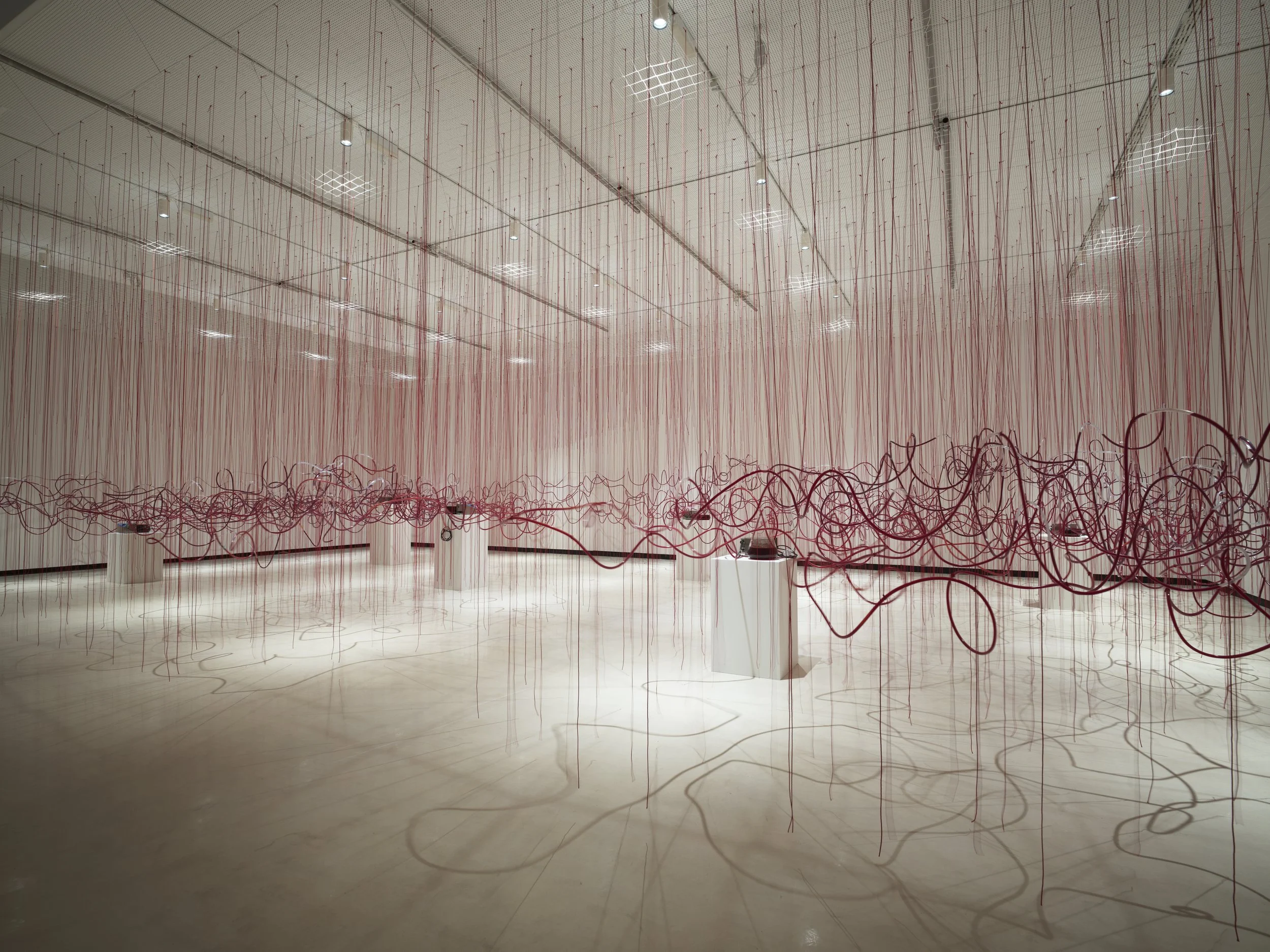 CHIHARU SHIOTA–塩田千春